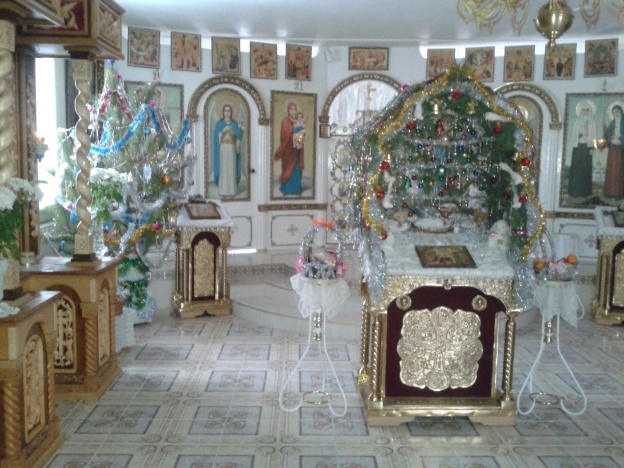 Рождество 2016 Свято-Елисаветинский монастырь Запорожская область, Ореховский район, пгт Камышева