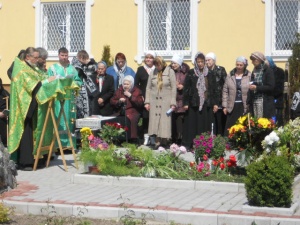 DSCN0453